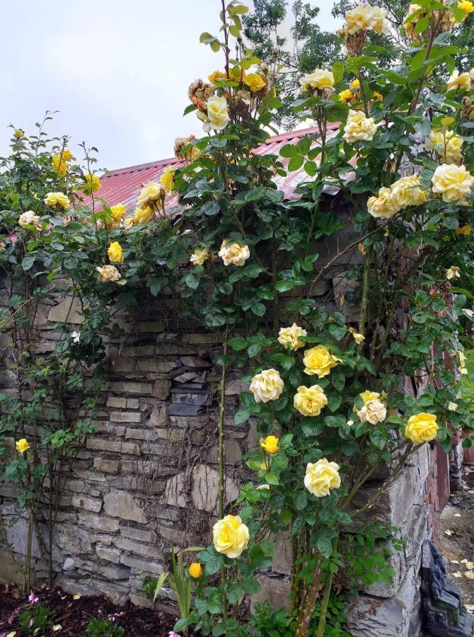 Nick & Sandra'S Slane Exterior photo